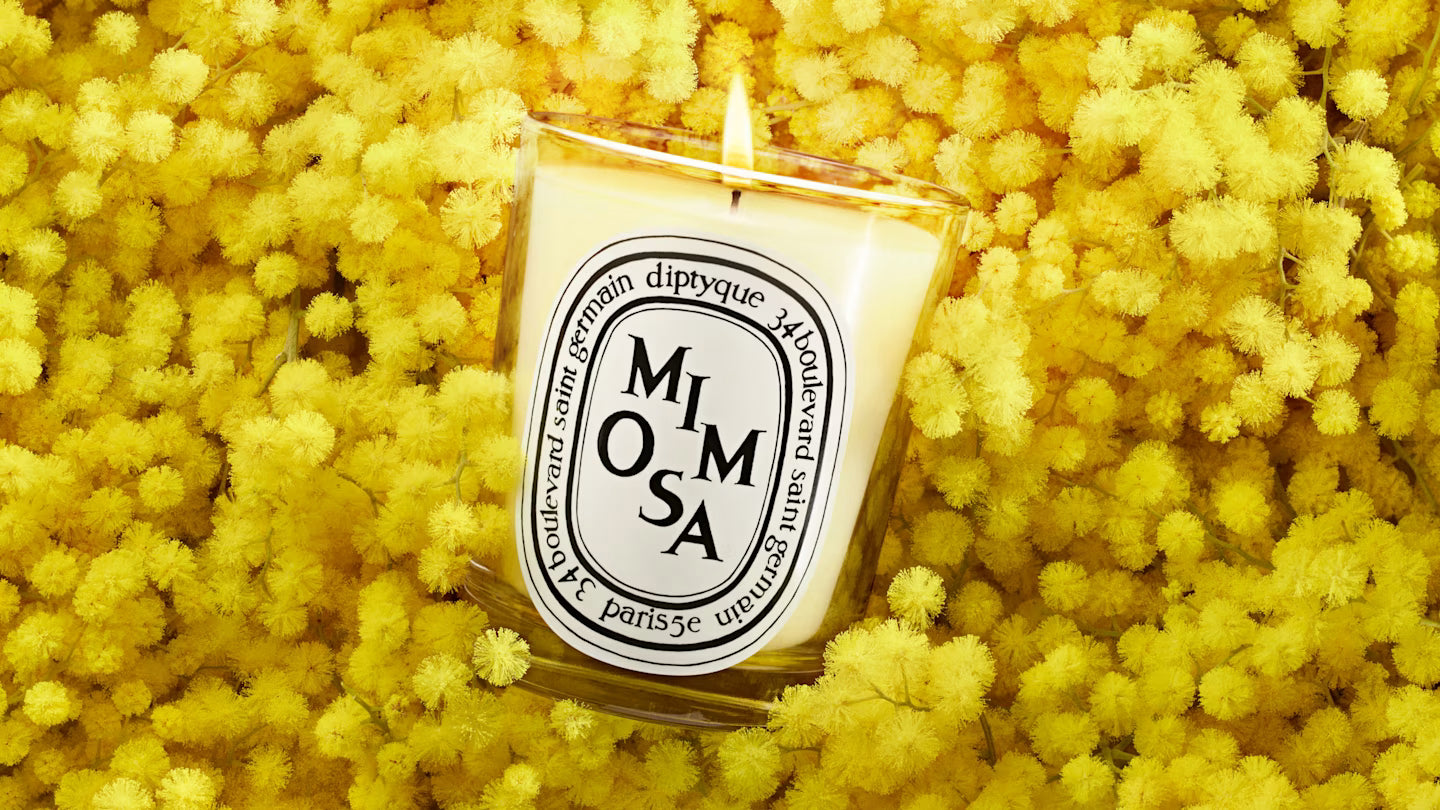 Mimosa
