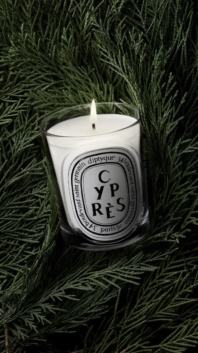 Cyprès (Cipresso) - Candela classica