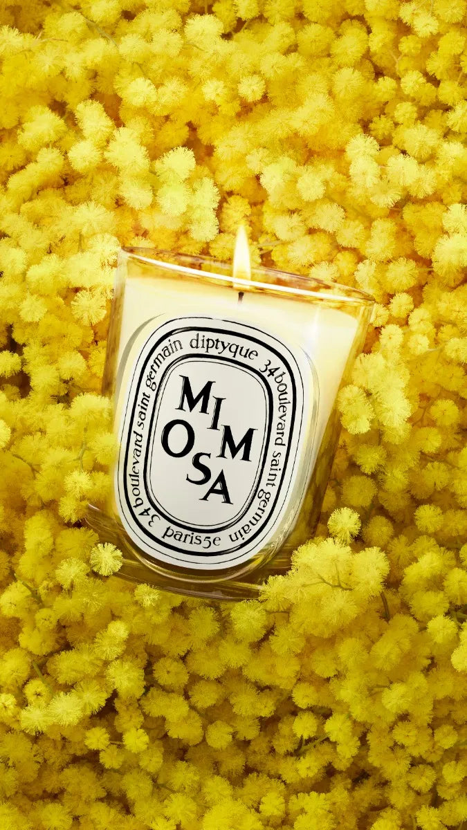 Mimosa - Vela modelo clásico