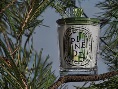 Une nouveauté parfumée pour l'été